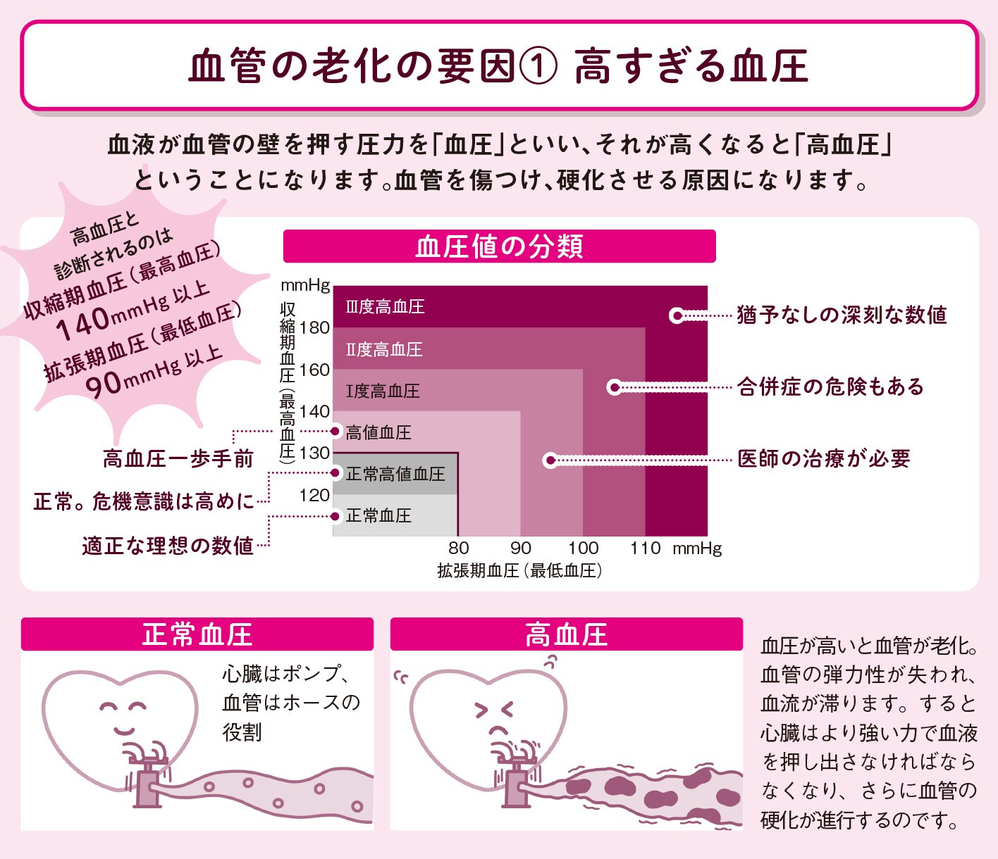 血管が老化する2大要因は高血圧とドロドロ血液【図解 血管・血液の話】