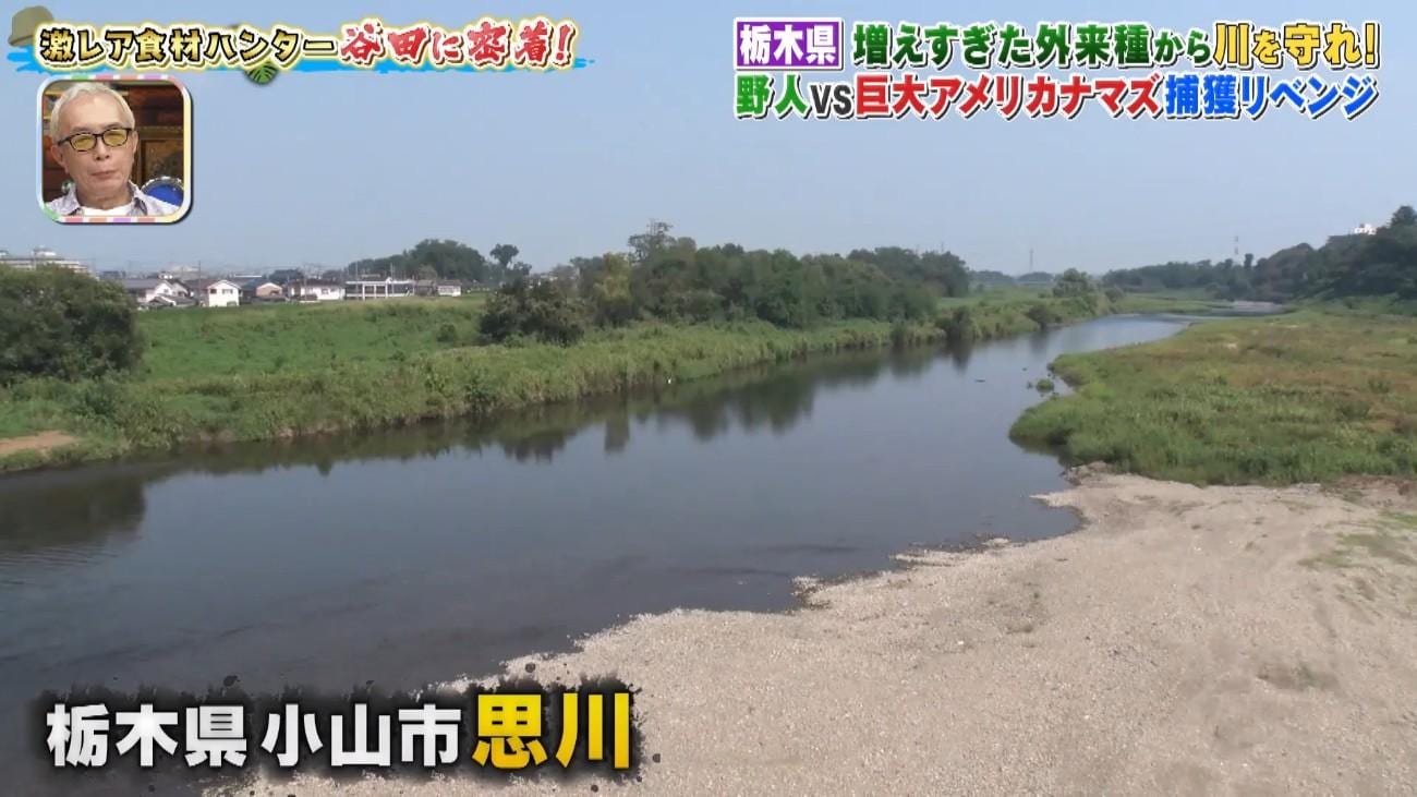 記事画像