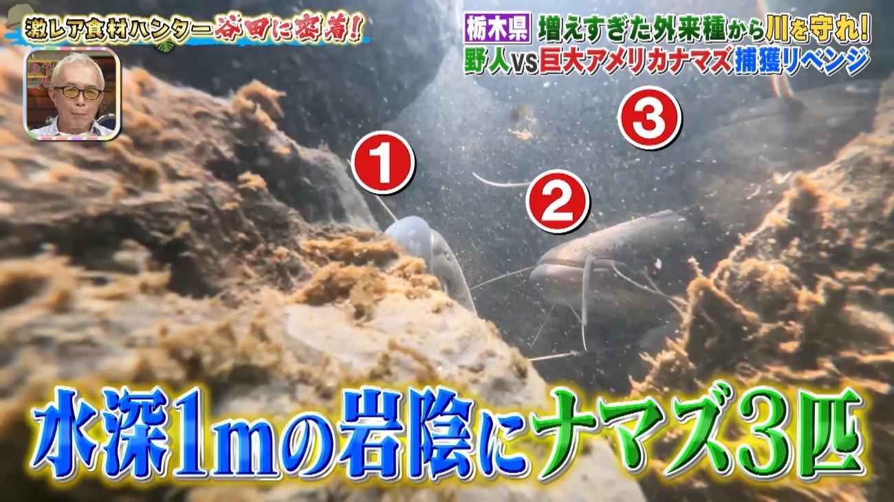記事画像