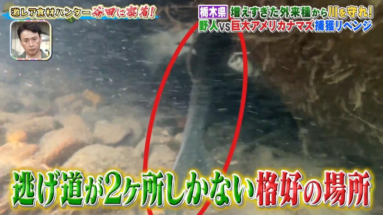 記事画像