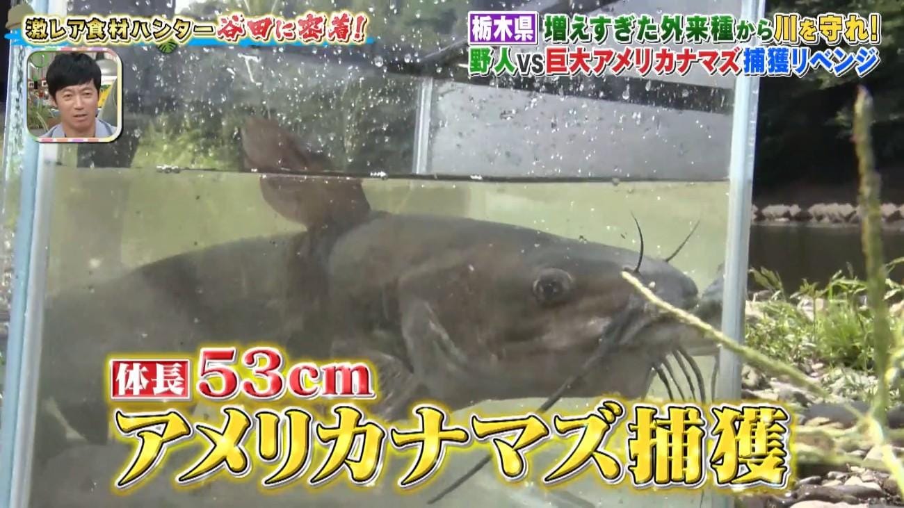 記事画像