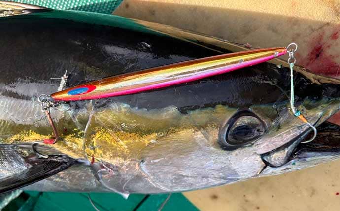 「諦めたら試合終了？」 トンジギ釣行のラスト1投で30kg超えキハダマグロ浮上