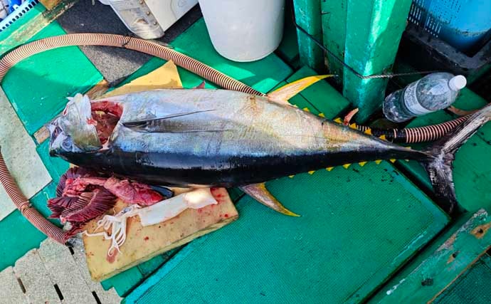 「諦めたら試合終了？」 トンジギ釣行のラスト1投で30kg超えキハダマグロ浮上