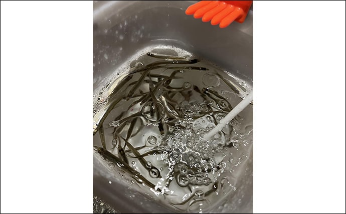 ライトソルトロッドを流用して陸っぱりワカサギ釣りに挑戦してみた