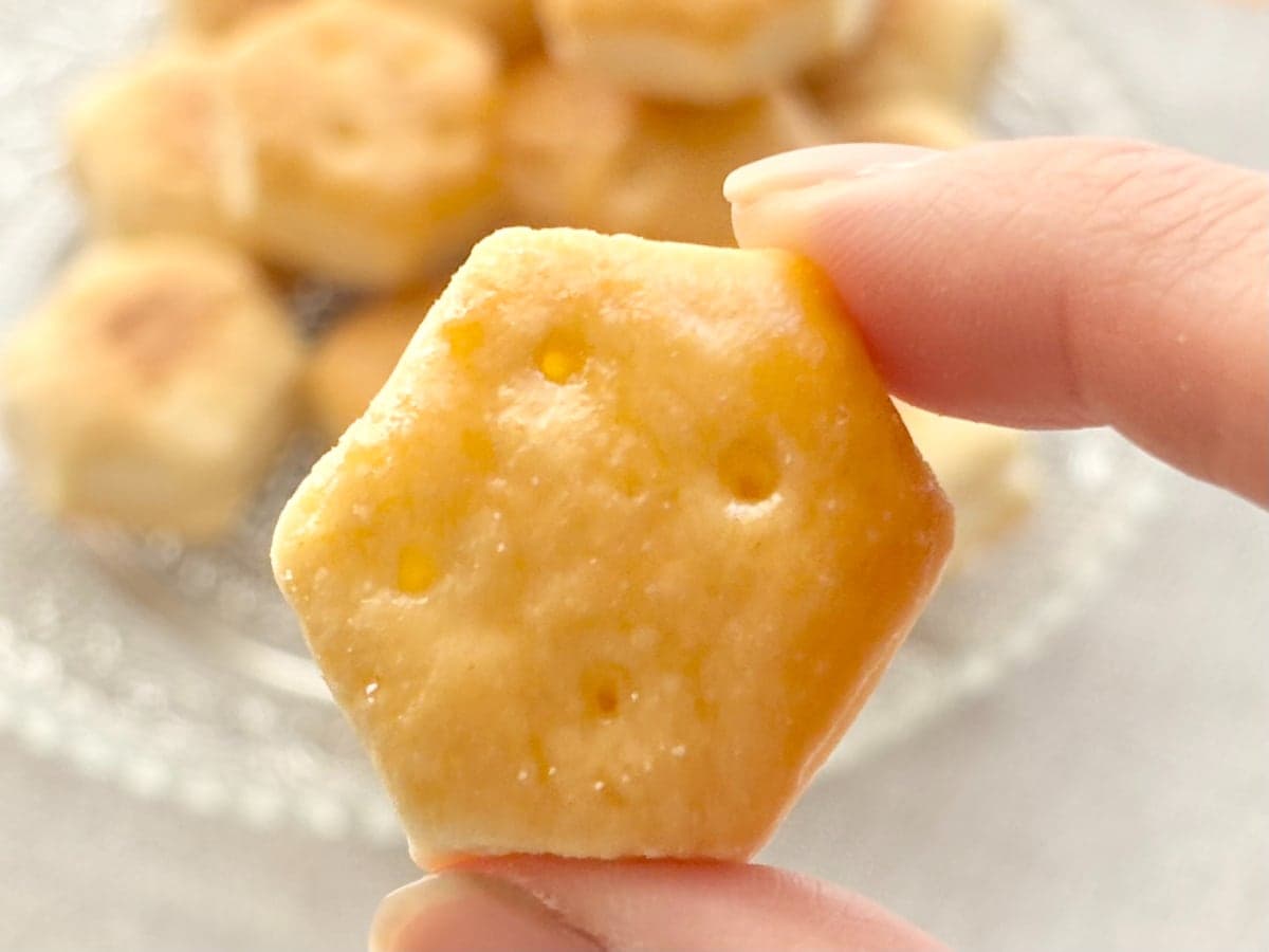 「バケモンみたいに美味しい」大好評の【パイの実】新作を食べてみた