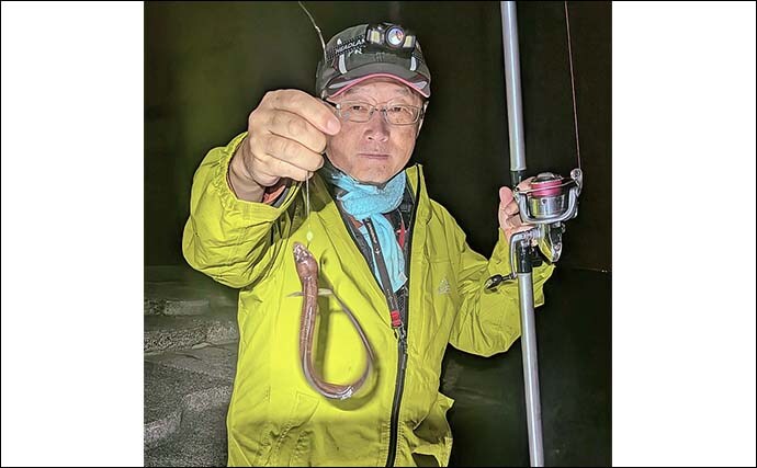 大野海岸周辺の投げ釣りで40cm級アナゴ3匹キャッチ【愛知】海藻消失で状況一変