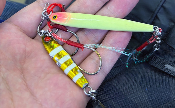 大阪湾奥LSJ釣行で45cm級サゴシ3本手中【泉大津】TGジグのストップ&ゴーで連発