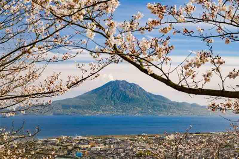 チャイナエアライン×鹿児島県×さんふらわあ、台湾向けに「フライ＆カジュアルクルーズ」共同キャンペーンを開始 記事1