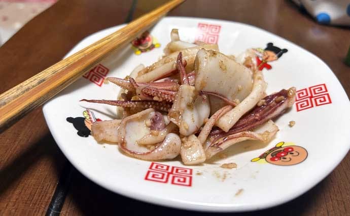 アジングタックルでヤリイカが連発！【熊本】誘いも感度も想像以上にバッチリ