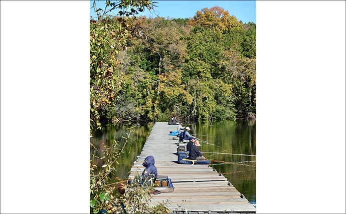 今週のヘラブナ推薦釣り場2025【静岡・早霧湖】