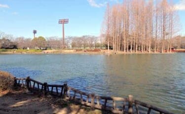 今週のヘラブナ推薦釣り場【埼玉県・北本総合公園】