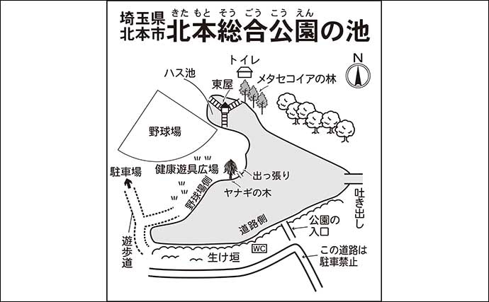 今週のヘラブナ推薦釣り場【埼玉県・北本総合公園】