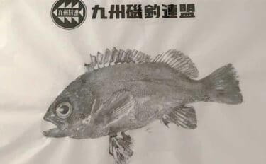 「魚拓といえば墨!」はもう古い? デジタル魚拓のメリットとおすすめサービスを紹介