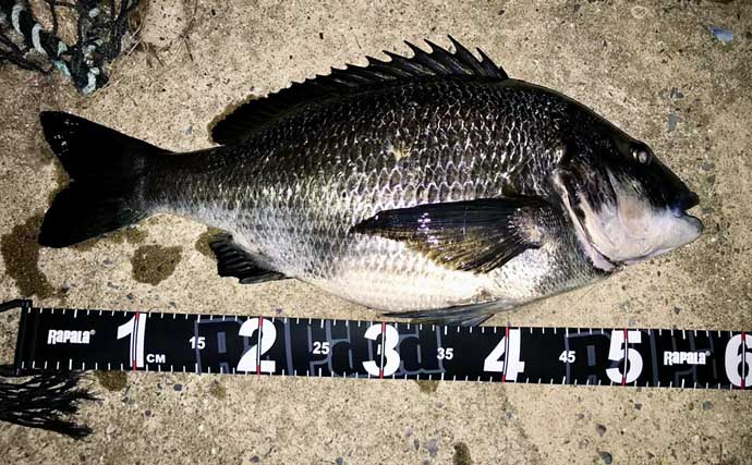 「魚拓といえば墨！」はもう古い？　デジタル魚拓のメリットとおすすめサービスを紹介