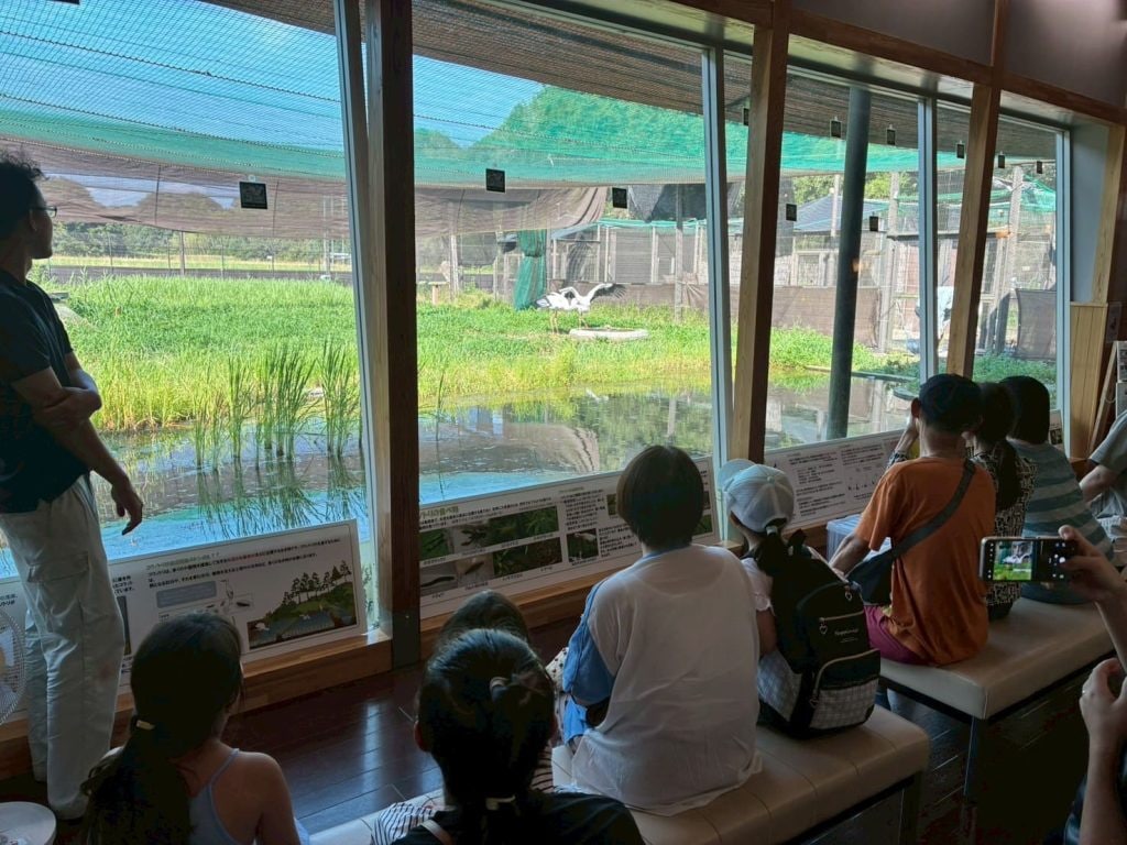 給餌の様子