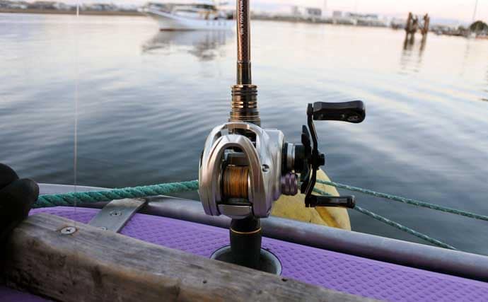 ヒガンフグ釣りの魅力を徹底解説 【タックル・仕掛け・釣り方・美味しい食べ方】