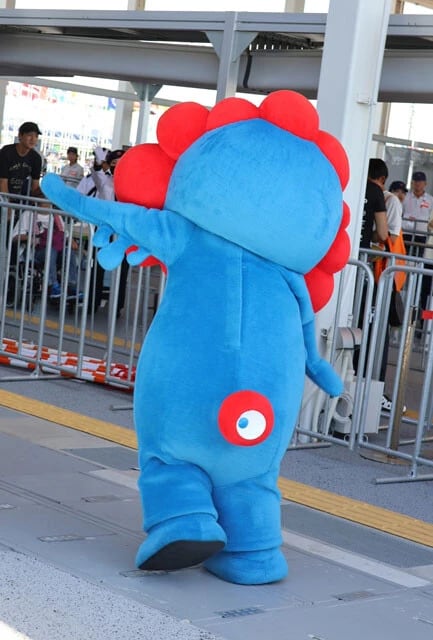しっぽがかわいいとファンを魅了するバックショットだ！