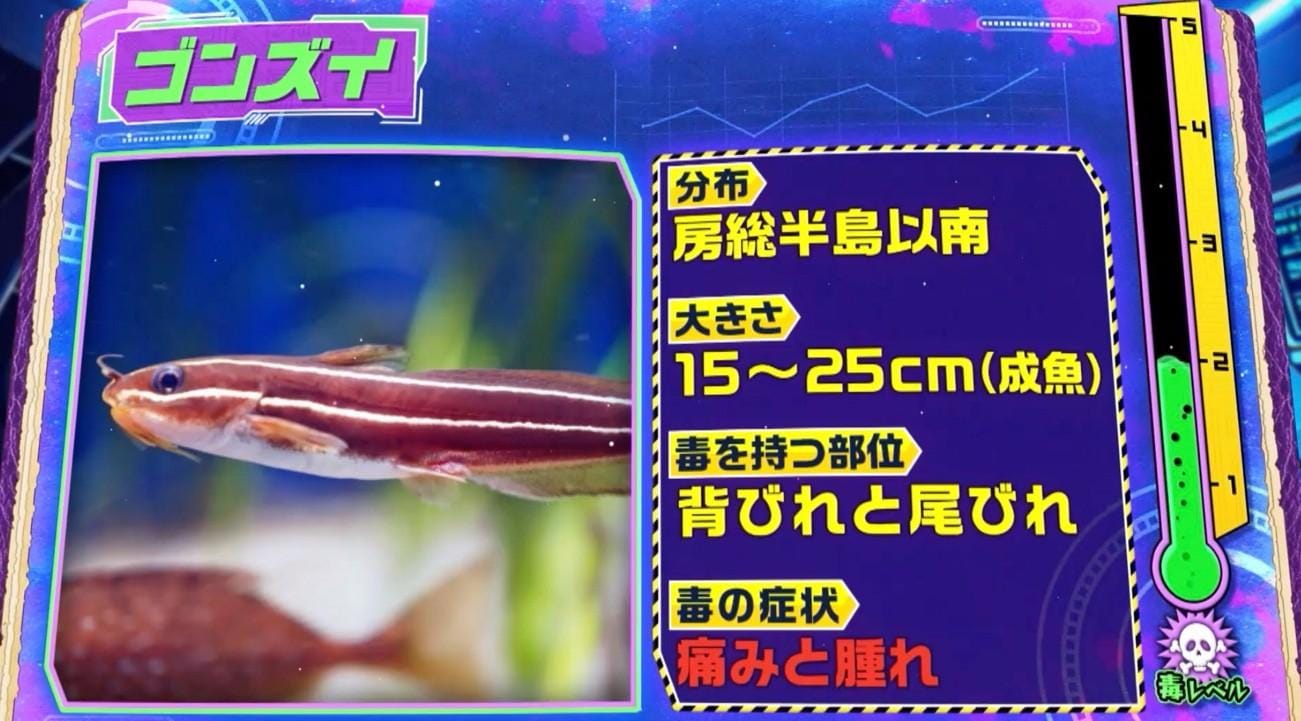 記事画像