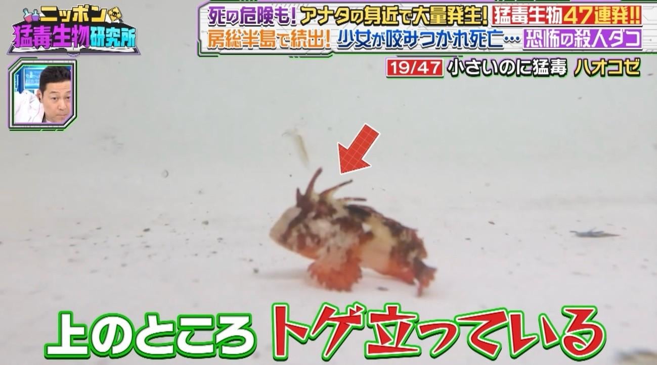記事画像