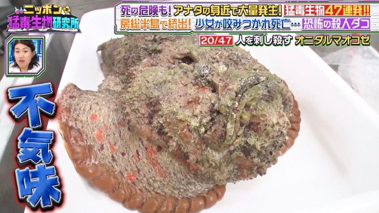 記事画像