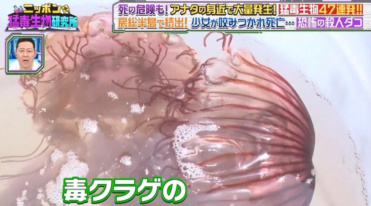 記事画像