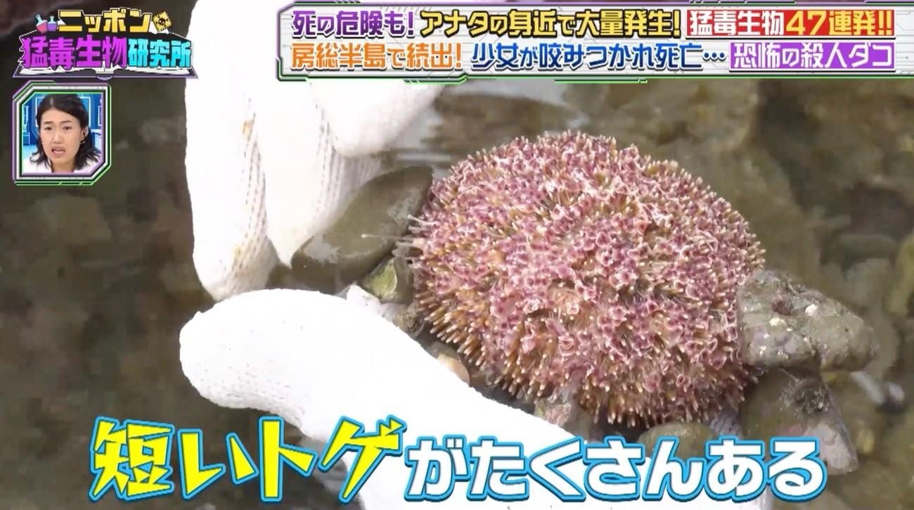 記事画像