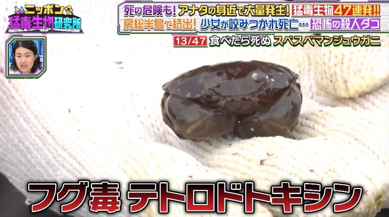 記事画像