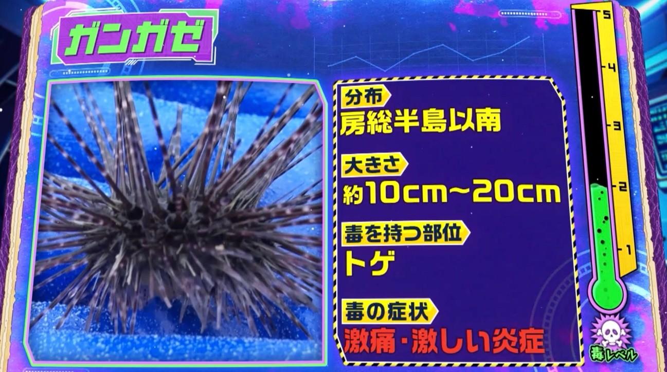 記事画像