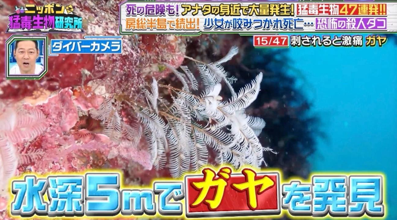 記事画像