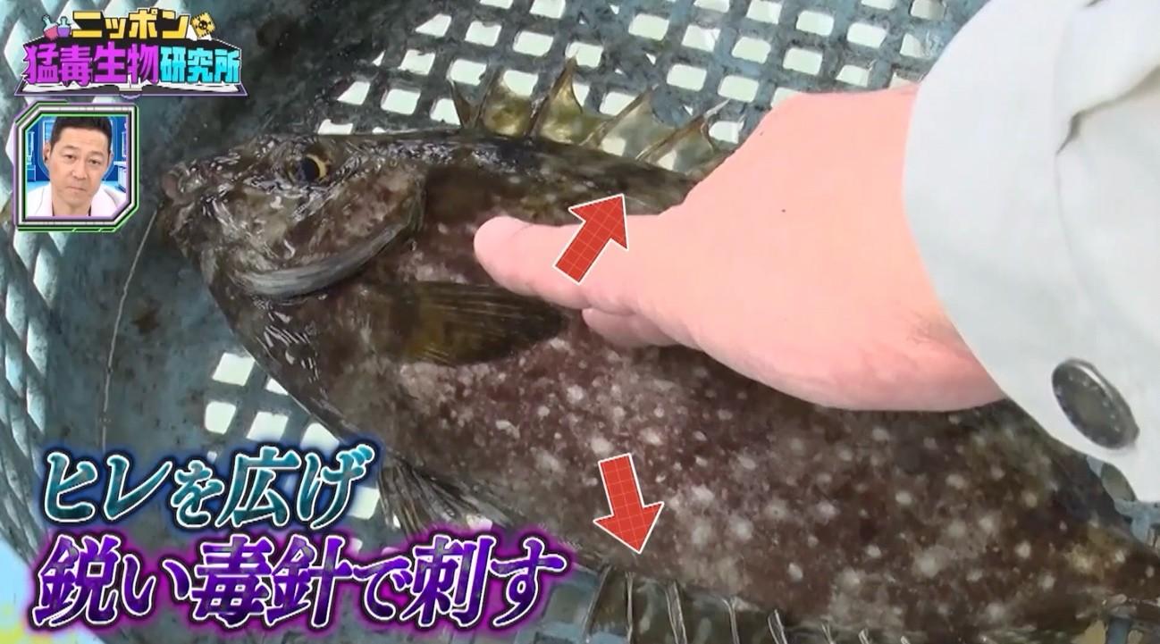 記事画像