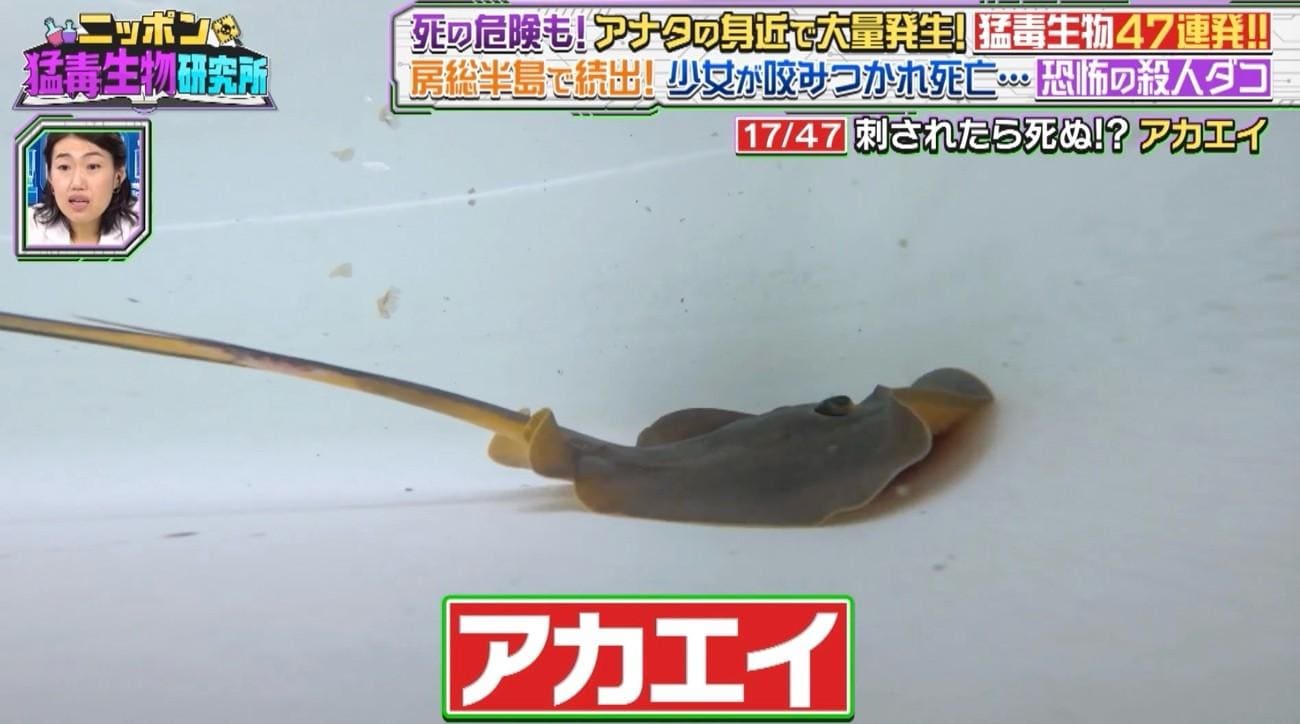 記事画像