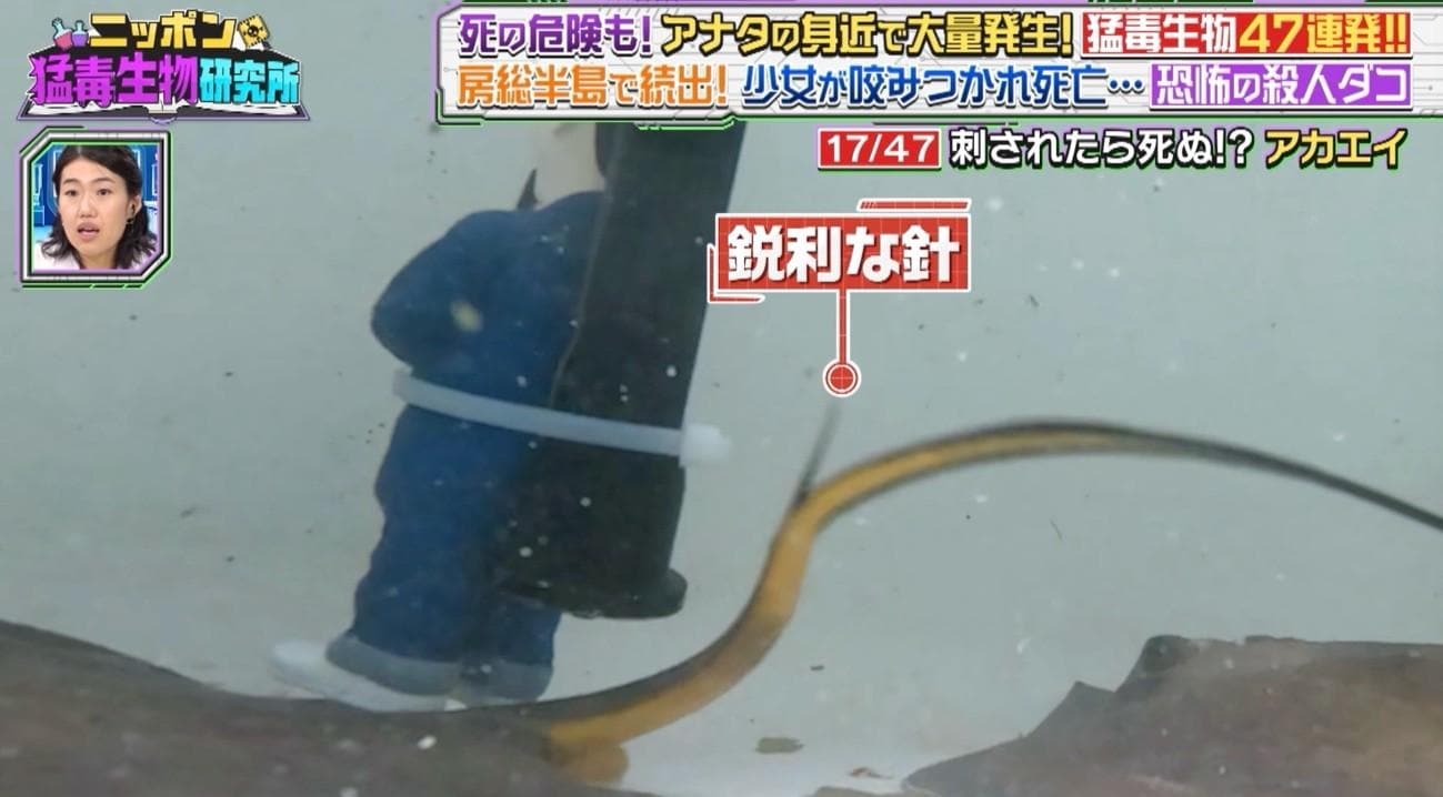 記事画像