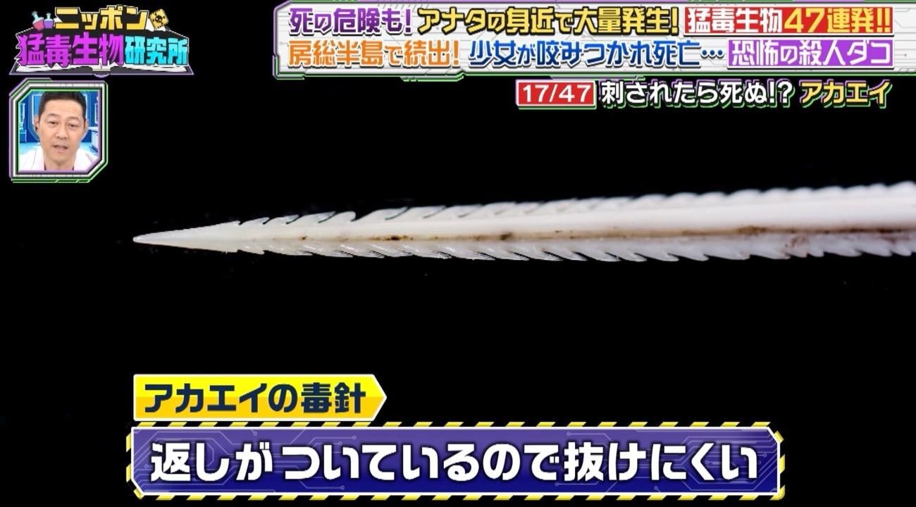 記事画像