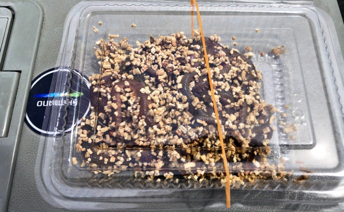 「冬は陸っぱりアナゴ釣りの季節！」 用意しておきたいブッコミ釣り用のエサ4選