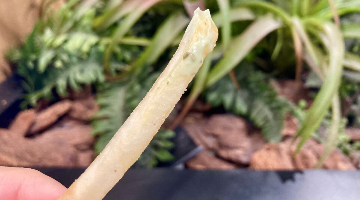 「不味いわけがない」「超美味い」【マクドナルド】サクサク＆ぷりぷりの新作バーガー登場