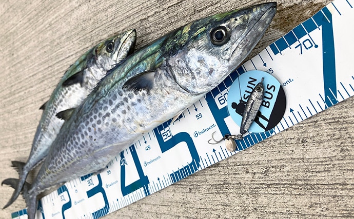 大阪湾陸っぱりルアー釣行で70cmサワラ浮上！【大阪南港魚つり園】昼でもチャンスあり