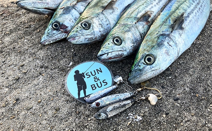 大阪湾陸っぱりルアー釣行で70cmサワラ浮上！【大阪南港魚つり園】昼でもチャンスあり