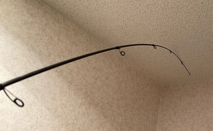 アジングは「ロッドで探知してリールで釣る」 タックルの役割を考えてみた