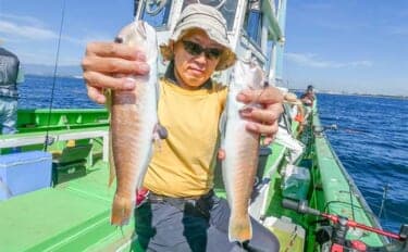 相模湾のシロアマダイ釣りで39cmを頭に船中全員安打！【神奈川】サバ短冊＆オキアミ仕掛けが奏功