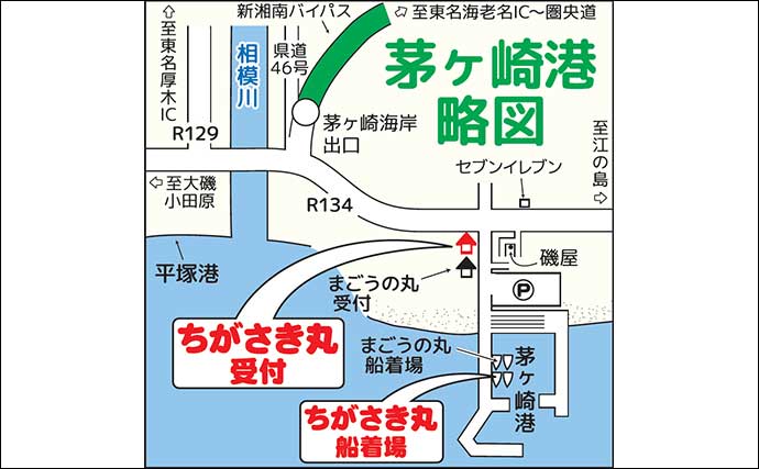 相模湾のシロアマダイ釣りで39cmを頭に船中全員安打!【神奈川】サバ短冊&オキアミ仕掛けが奏功