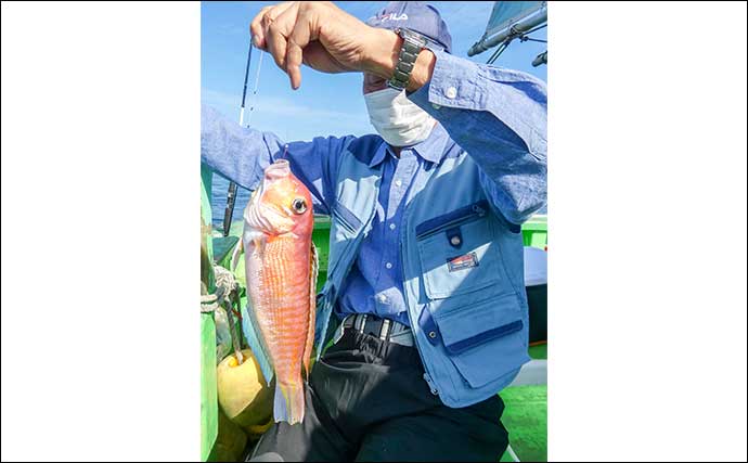 相模湾のシロアマダイ釣りで39cmを頭に船中全員安打!【神奈川】サバ短冊&オキアミ仕掛けが奏功