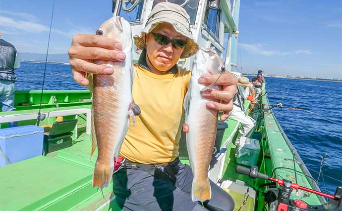 相模湾のシロアマダイ釣りで39cmを頭に船中全員安打!【神奈川】サバ短冊&オキアミ仕掛けが奏功