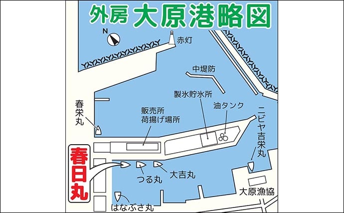 「暗いうちがチャンス」大原沖ショウサイフグ釣りは朝マズメが狙いめ【千葉・春日丸】