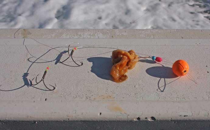 「暗いうちがチャンス」大原沖ショウサイフグ釣りは朝マズメが狙いめ【千葉・春日丸】