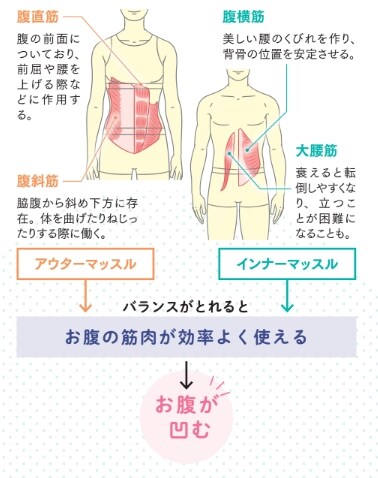 インナーマッスルとアウターマッスルのバランスが大事