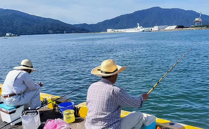 「夫婦合わせて束釣り達成!」敦賀港のサヨリ釣りで本命104匹キャッチ【福井】