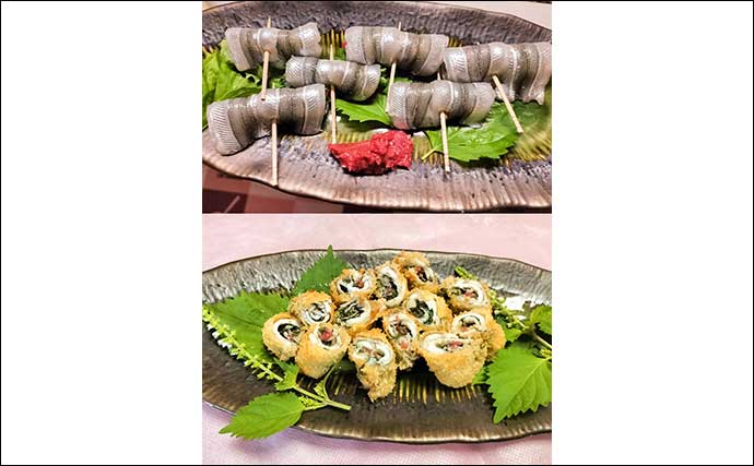 「夫婦合わせて束釣り達成!」敦賀港のサヨリ釣りで本命104匹キャッチ【福井】