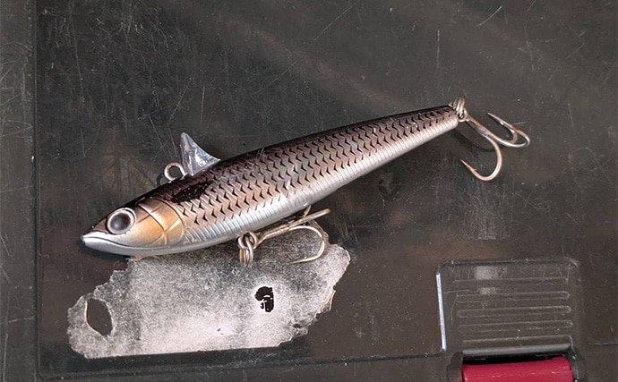 真冬の「ハゼパターン」でシーバス2尾キャッチ！ 数少ないチャンスに全集中