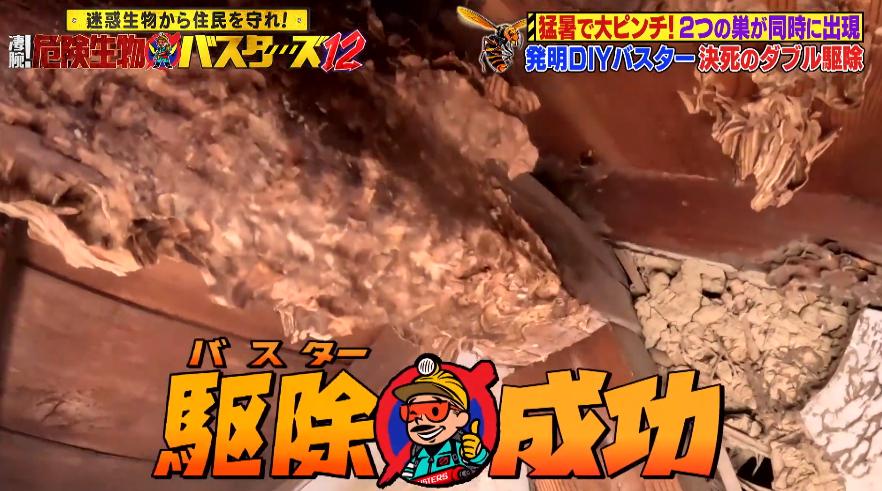 危険生物