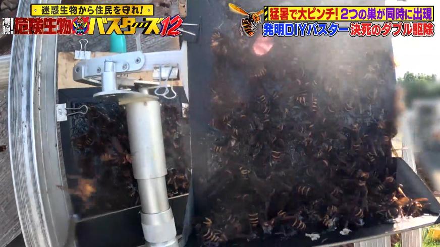 危険生物
